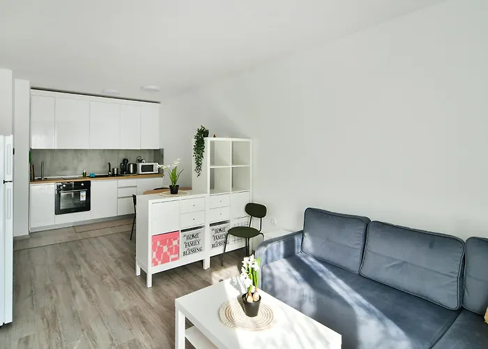 Free Parking Flats With Wifi And Pool Apartament *